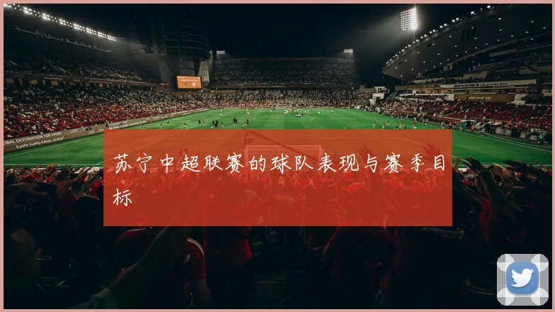 苏宁中超联赛的球队表现与赛季目标